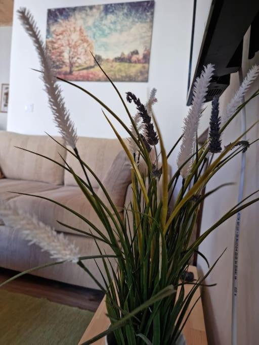 Gs Home Гітіо Екстер'єр фото